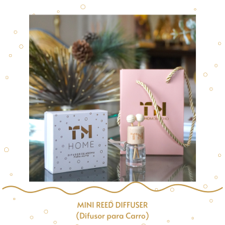 Mini Reed Diffuser para carro
