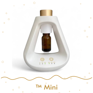 TM Mini
